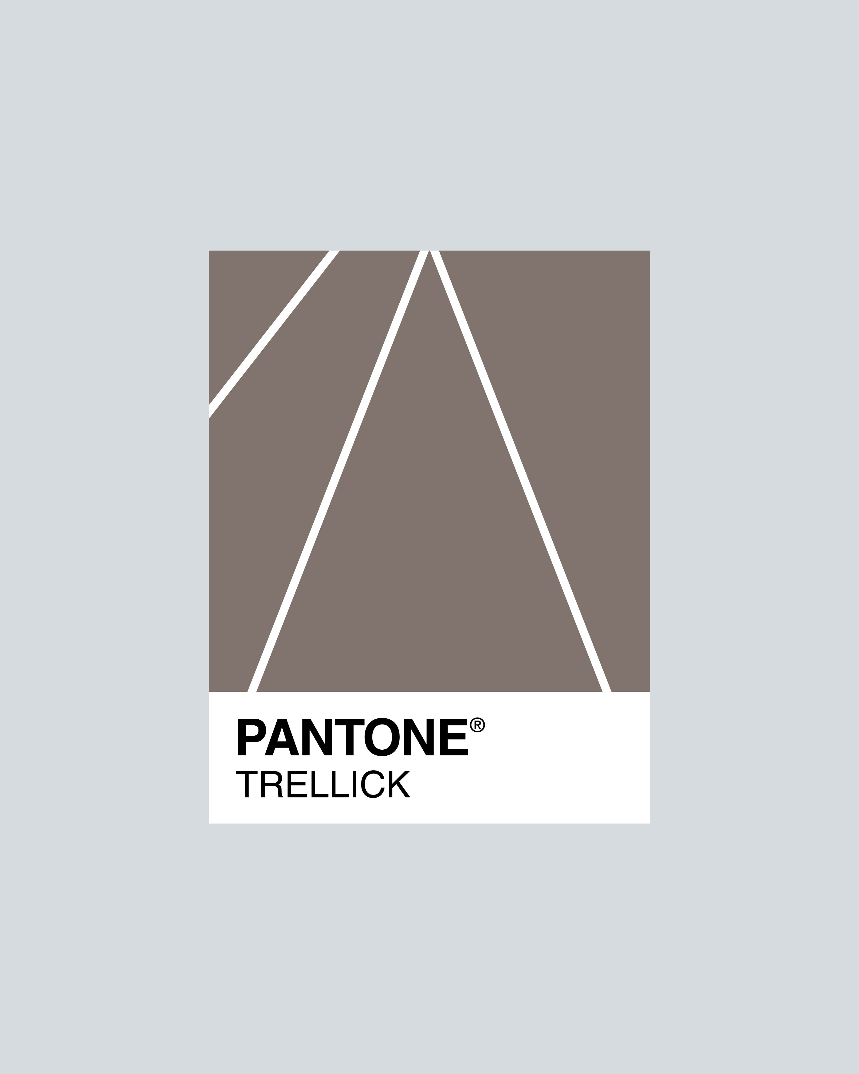 SERIES 1.1 - 3x3 Palette A3 Art Print